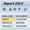 Report ZALV